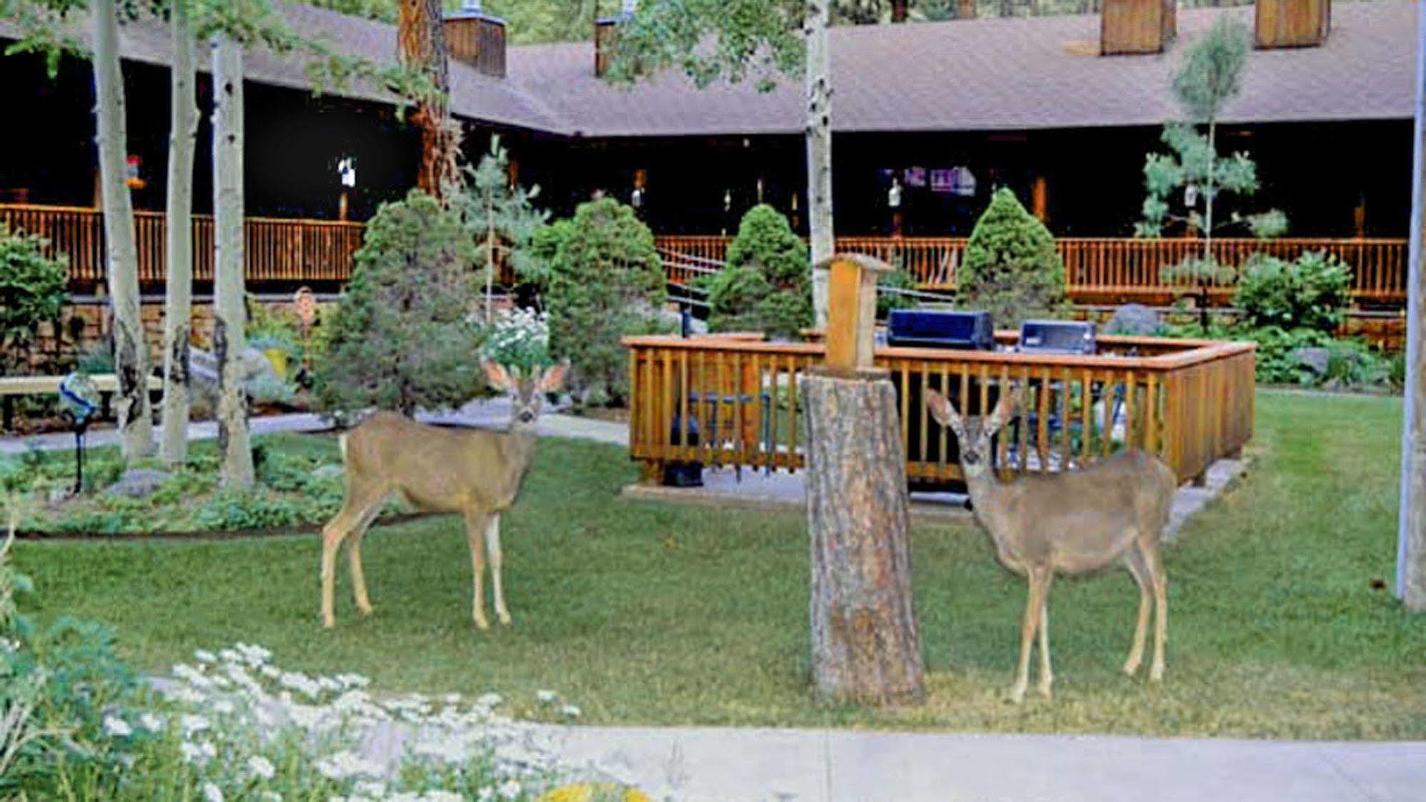 Shadow Mountain Lodge And Cabins Ruidoso Exterior foto